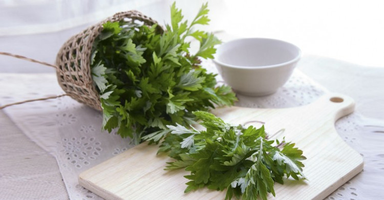 Ngải cứu được nhiều phụ nữ ưa chuộng trong làm đẹp.
