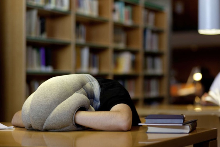 Dành thời gian cho giấc ngủ trưa để tái tạo năng lượng.