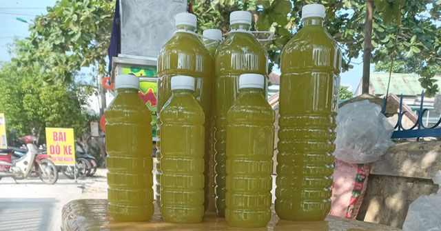 Sự Thật Về Nước Mía: Đồ Uống Hấp Dẫn Nhưng Dễ Hỏng
