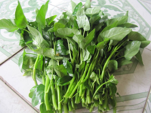 Không nên ăn sống rau muống hoặc ăn khi rau chưa chín kĩ
