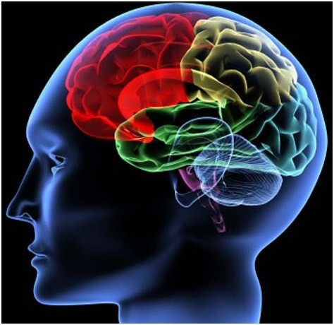 Rượu có thể gây chết não nếu sử dụng quá liều. Rượu có thể gây chết não nếu sử dụng quá liều.