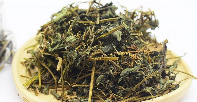 Giảo Cổ Lam: Thảo Dược Quý Giúp Tăng Cường Sức Khỏe Tự Nhiên