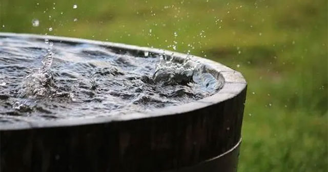 Cảnh Báo Về Ô Nhiễm Nước Mưa: Nguyên Nhân Và Hệ Lụy Sức Khỏe