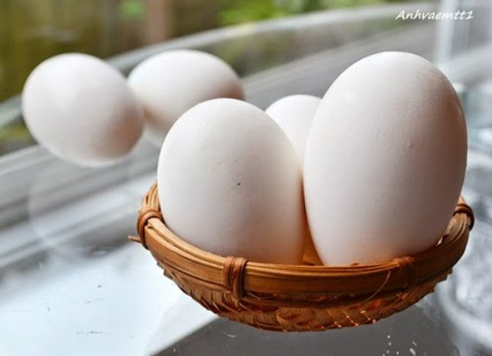 Trứng ngỗng không hẳn tốt hơn trứng gà
