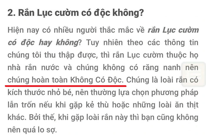 Thông tin sai về rắn lục cườm
