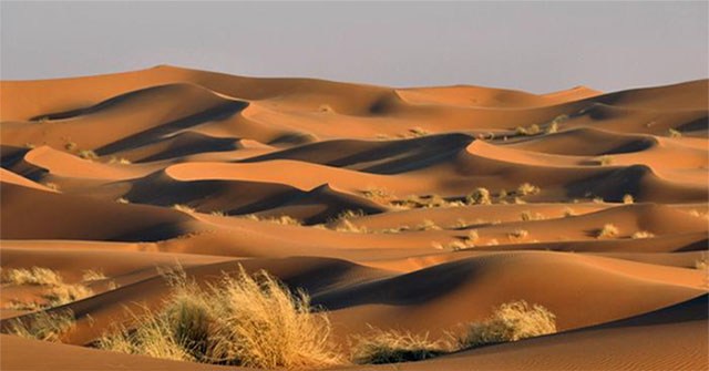 Khám Phá Độ Sâu Bí Ẩn Của Sa Mạc Sahara Và Những Điều Kì Diệu Bên Dưới