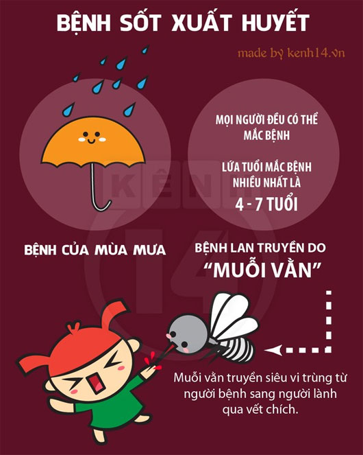 Chống lại bệnh sốt xuất huyết Chống lại bệnh sốt xuất huyết