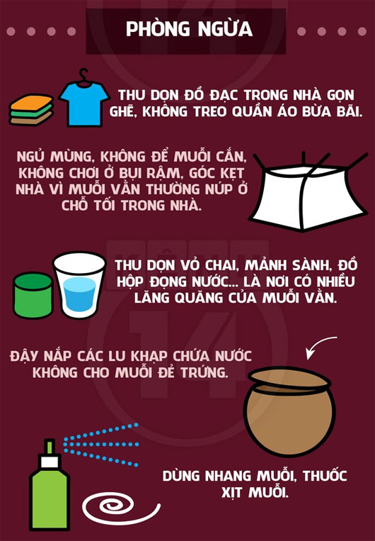 Chống lại bệnh sốt xuất huyết Chống lại bệnh sốt xuất huyết