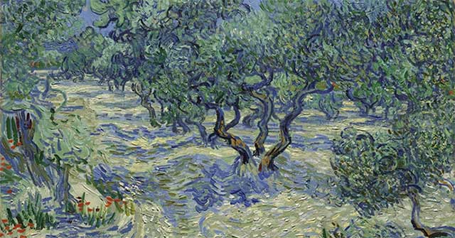 Xác châu chấu trên ‘Những cây ô-liu’ của Van Gogh: phát hiện bất ngờ và những gì nó tiết lộ