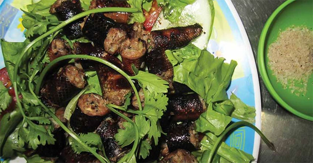 Thịt trăn bền vững: nguồn protein ít tài nguyên và lợi ích môi trường