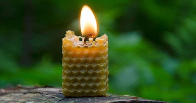 9 Phương Pháp Tự Nhiên Giúp Làm Sạch Không Khí Trong Nhà